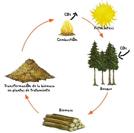 ciclo_biomasa_cs.gif